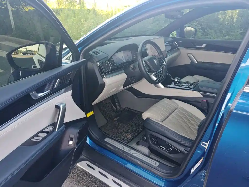 BYD Tang New Energy — миниатюра 16
