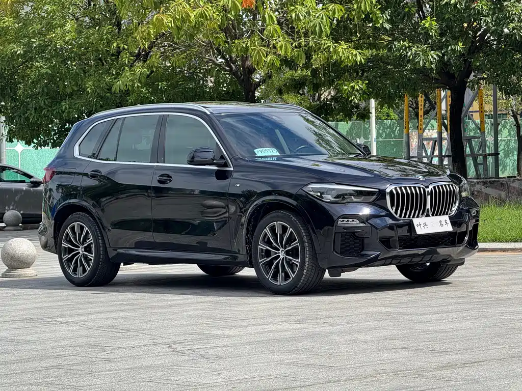 BMW X5 (Import) — миниатюра 3