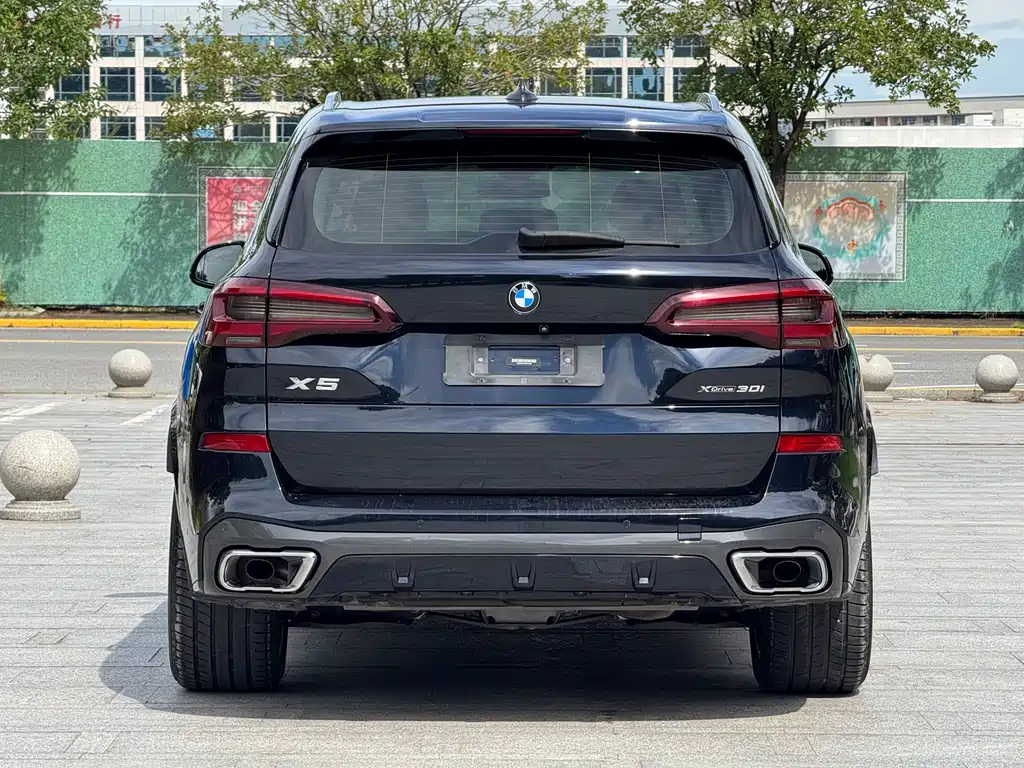 BMW X5 (Import) — миниатюра 20