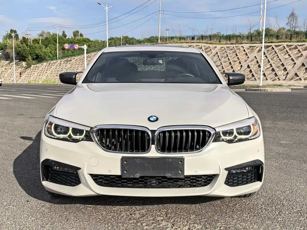 BMW 5 Series 5 2019 525Li M Sport
