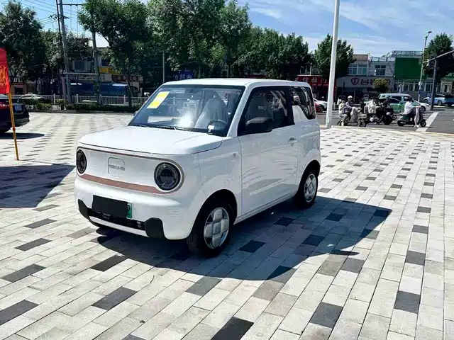 2025 Geely LC (Panda)
