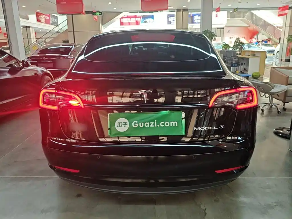 Tesla Model 3 — миниатюра 6