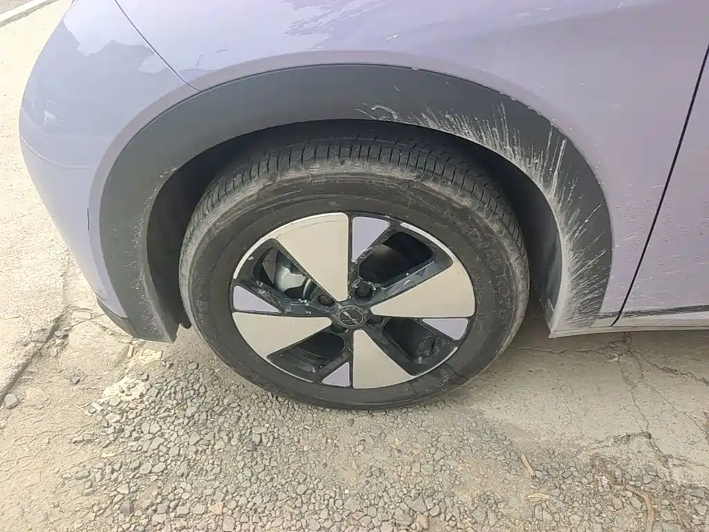 BYD Dolphin — миниатюра 23