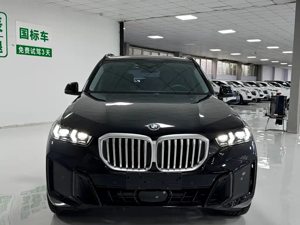 BMW X5 — миниатюра 2