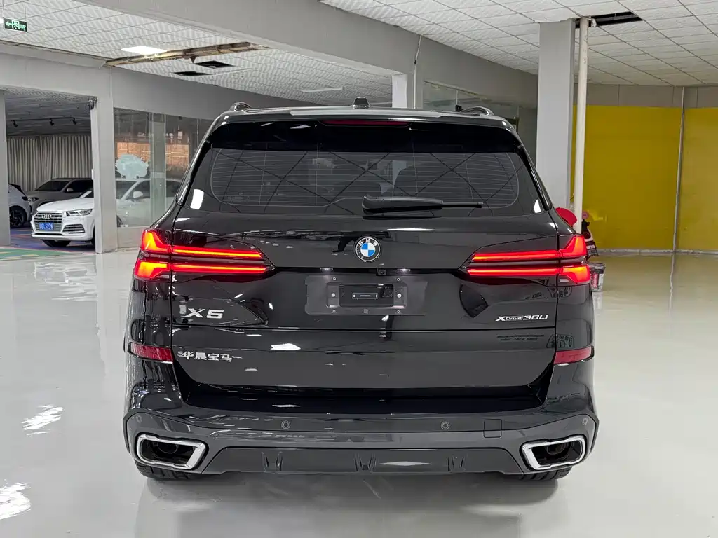 BMW X5 — миниатюра 8
