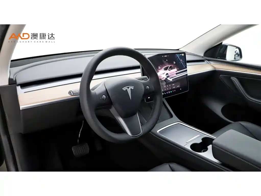 Tesla Model Y — миниатюра 6