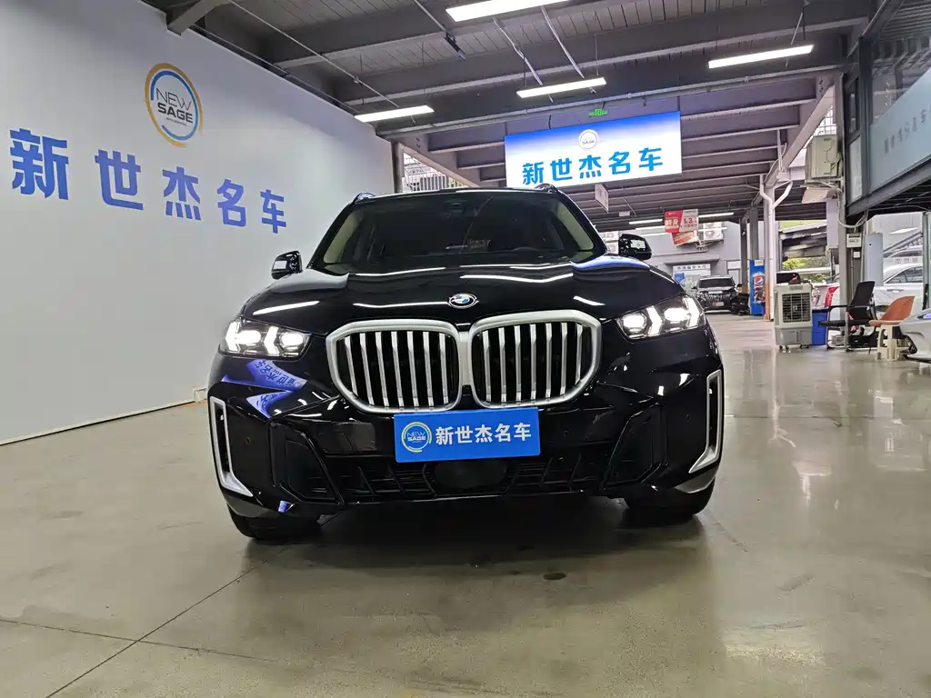 BMW X5 — миниатюра 2