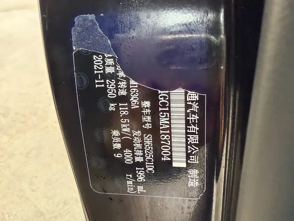 SAIC MAXUS CHASE G10