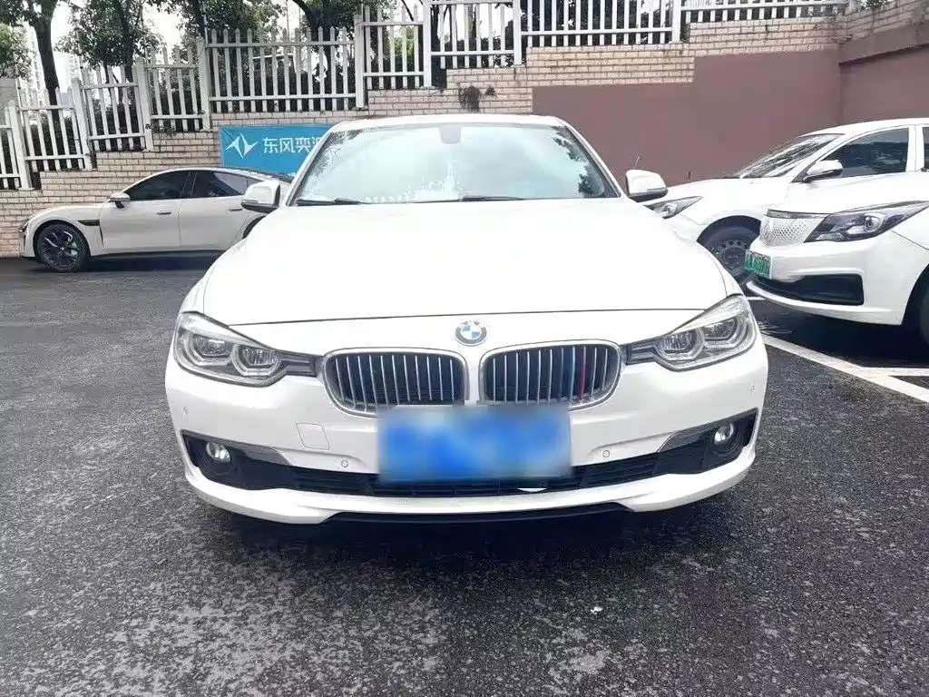 BMW 3 Series 3 2019 320Li Fashion