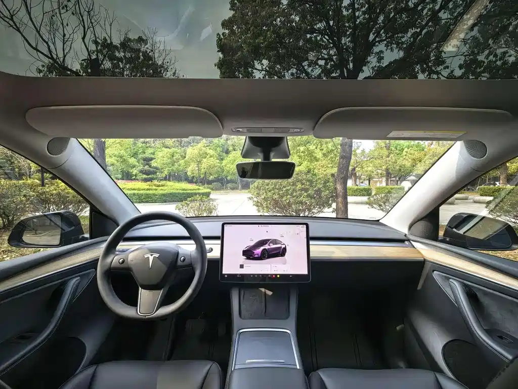Tesla Model Y — миниатюра 11