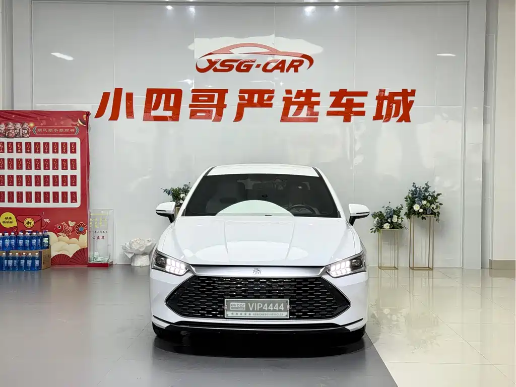 BYD Qin Plus PLUS 2024 DM-i 55KM Lead
