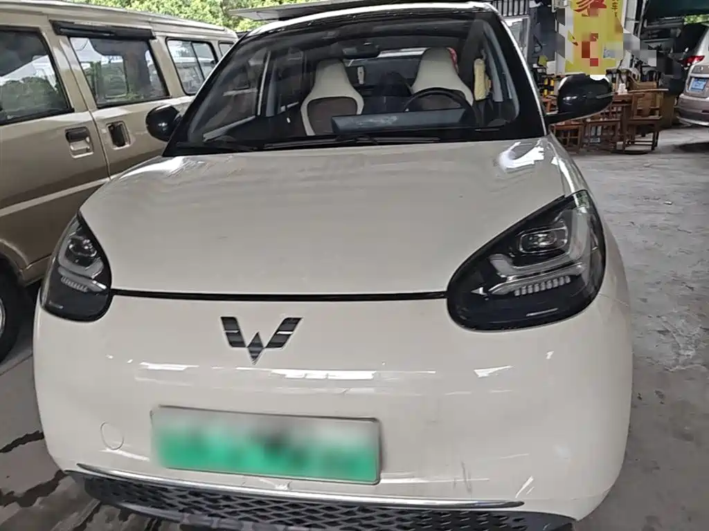 Wuling Binguo 2023 333km +