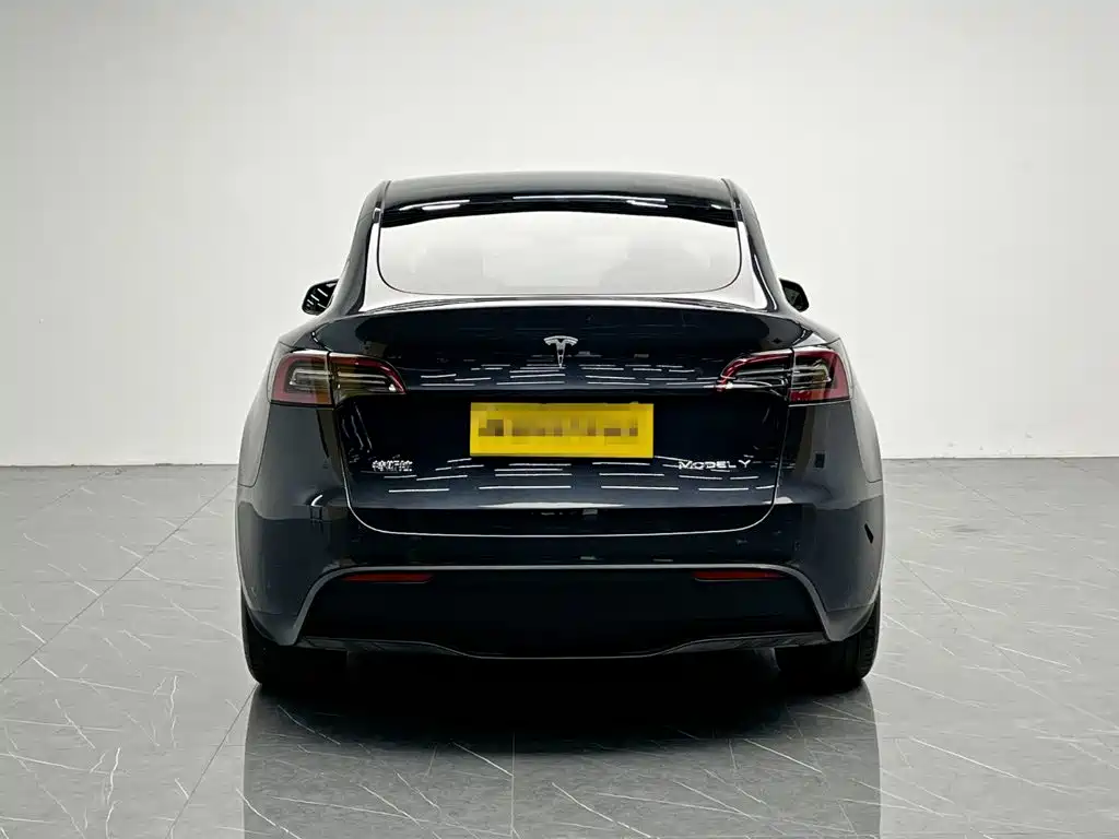 Tesla Model Y — миниатюра 5
