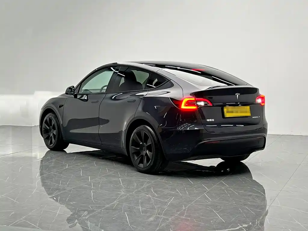 Tesla Model Y — миниатюра 4