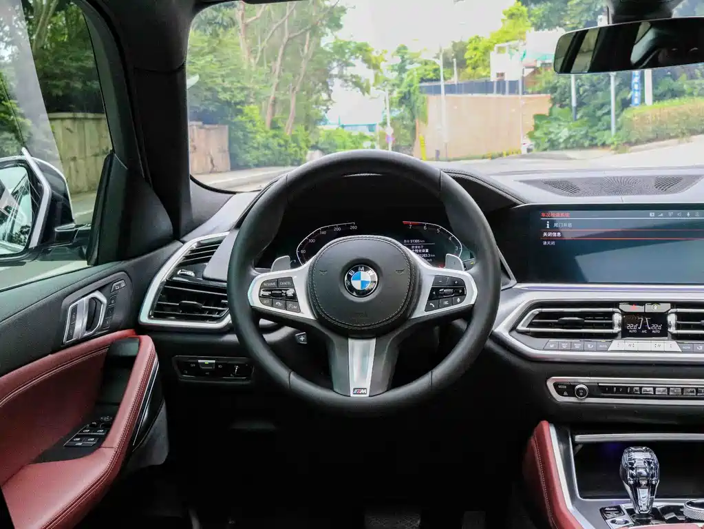 BMW X6 2021 xDrive30i M Sport