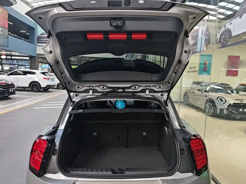 MINI MINI ACEMAN EV — миниатюра 19