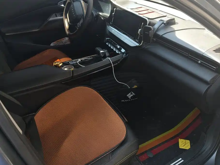 Baojun Valli — миниатюра 8