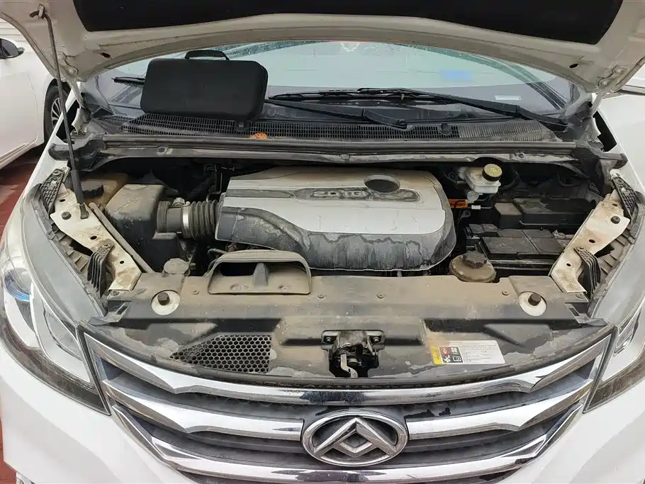 SAIC MAXUS CHASE G10