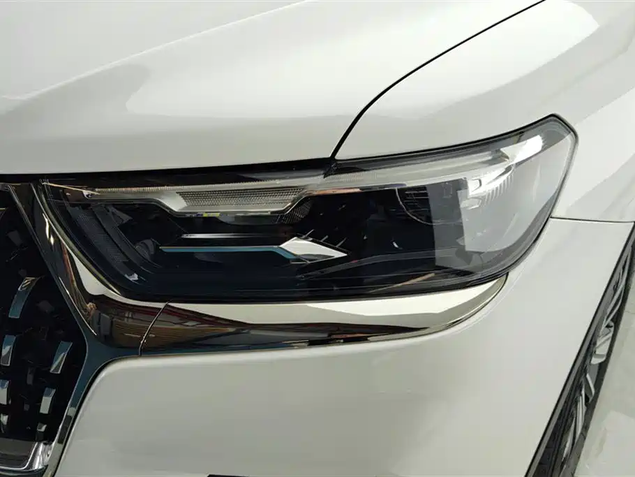 Haval H6 2023 1.5T AT Champion