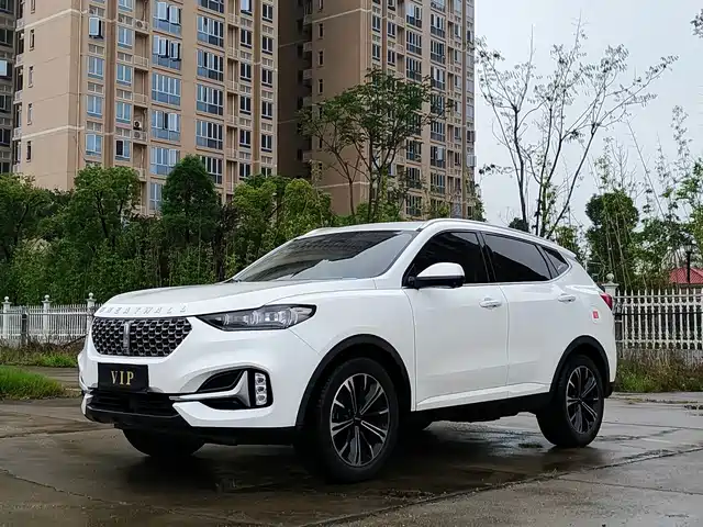 2021 Wey VV6