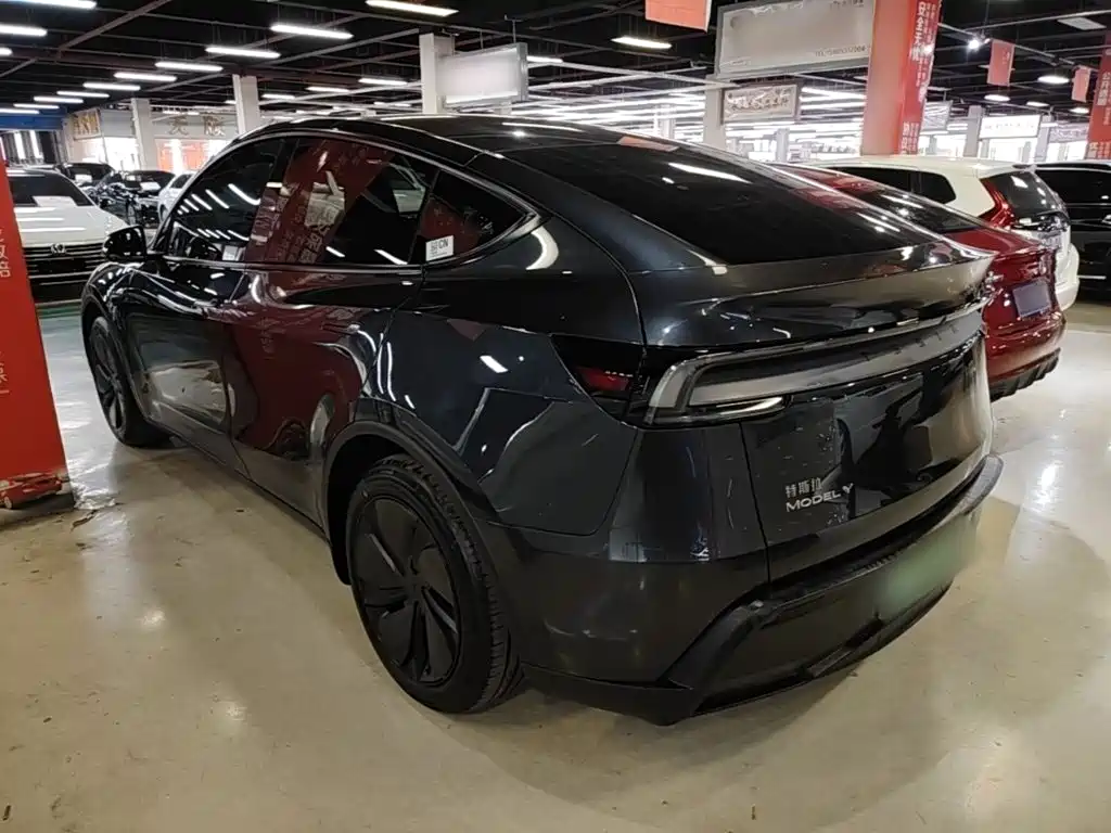 Tesla Model Y — миниатюра 5