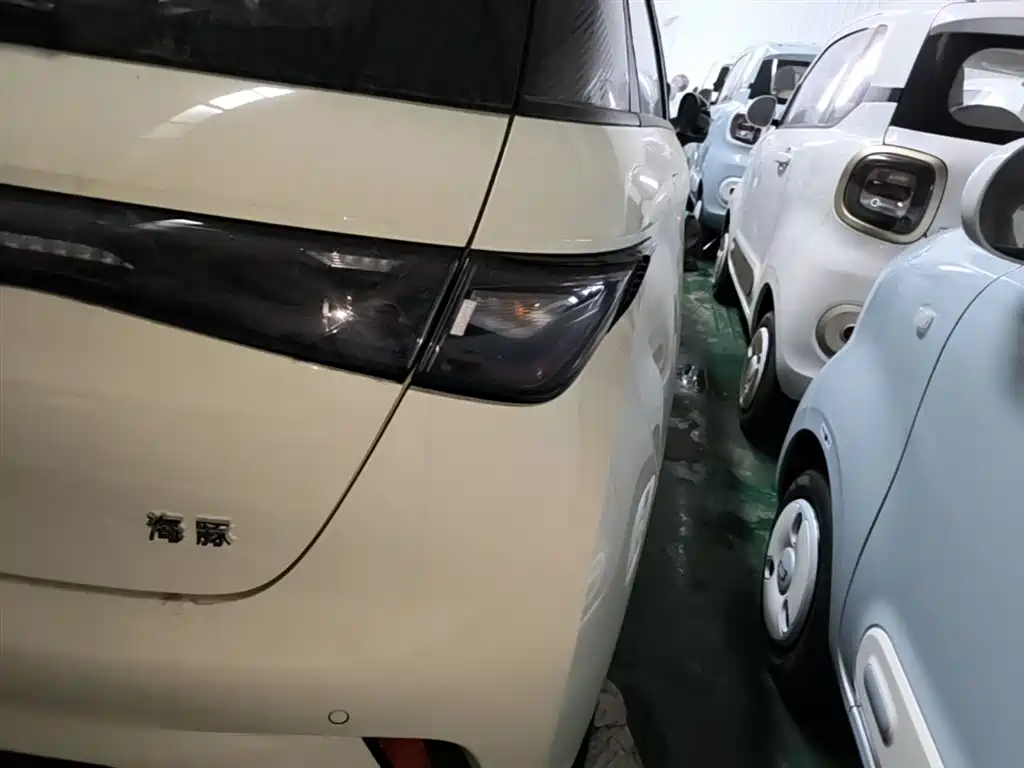 BYD Dolphin 2025 420km Freedom