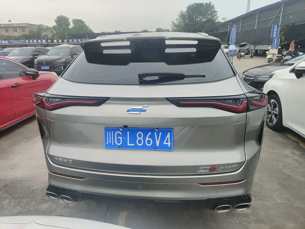 Oshan Oushang Z6 — миниатюра 18