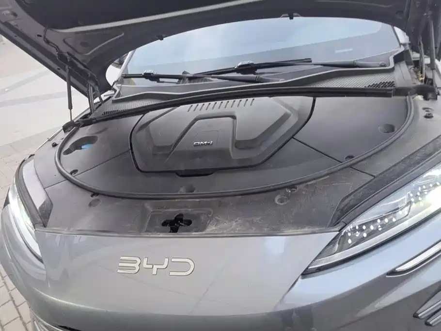 BYD PLUS New Energy — миниатюра 10