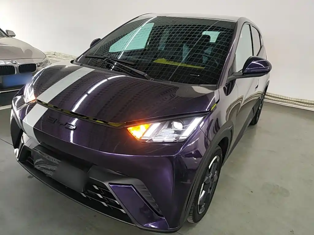 BYD Seagull