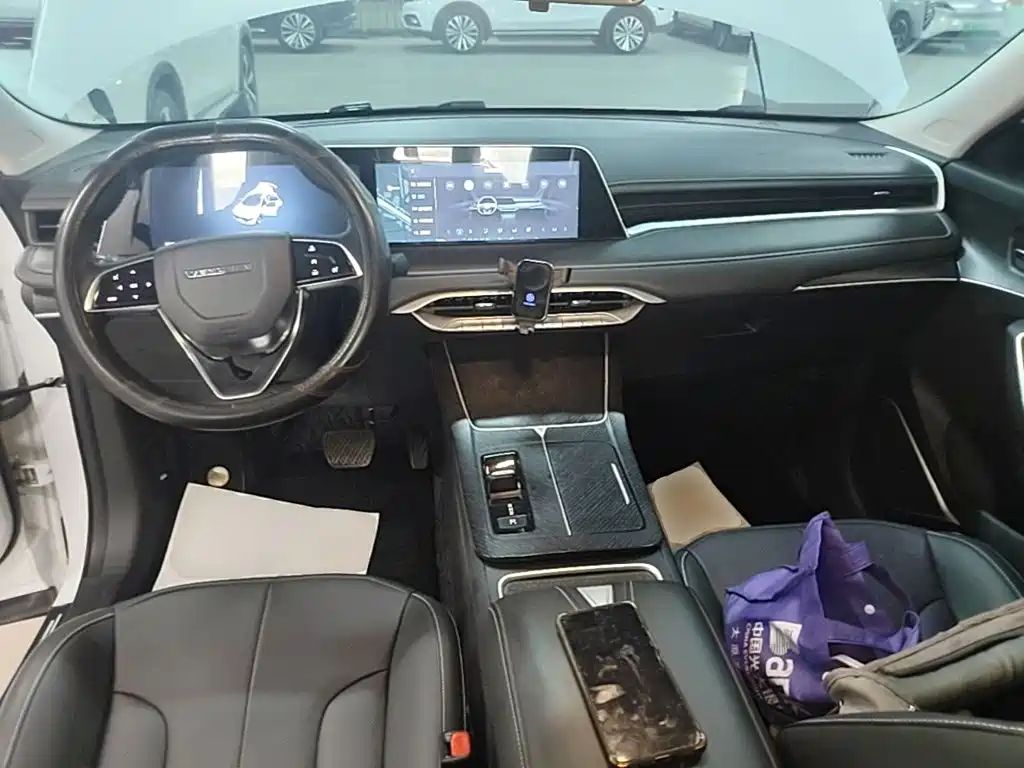 Venucia V DD-i — миниатюра 10