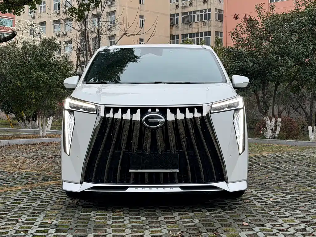 GAC Motor Trumpchi M8 — миниатюра 2