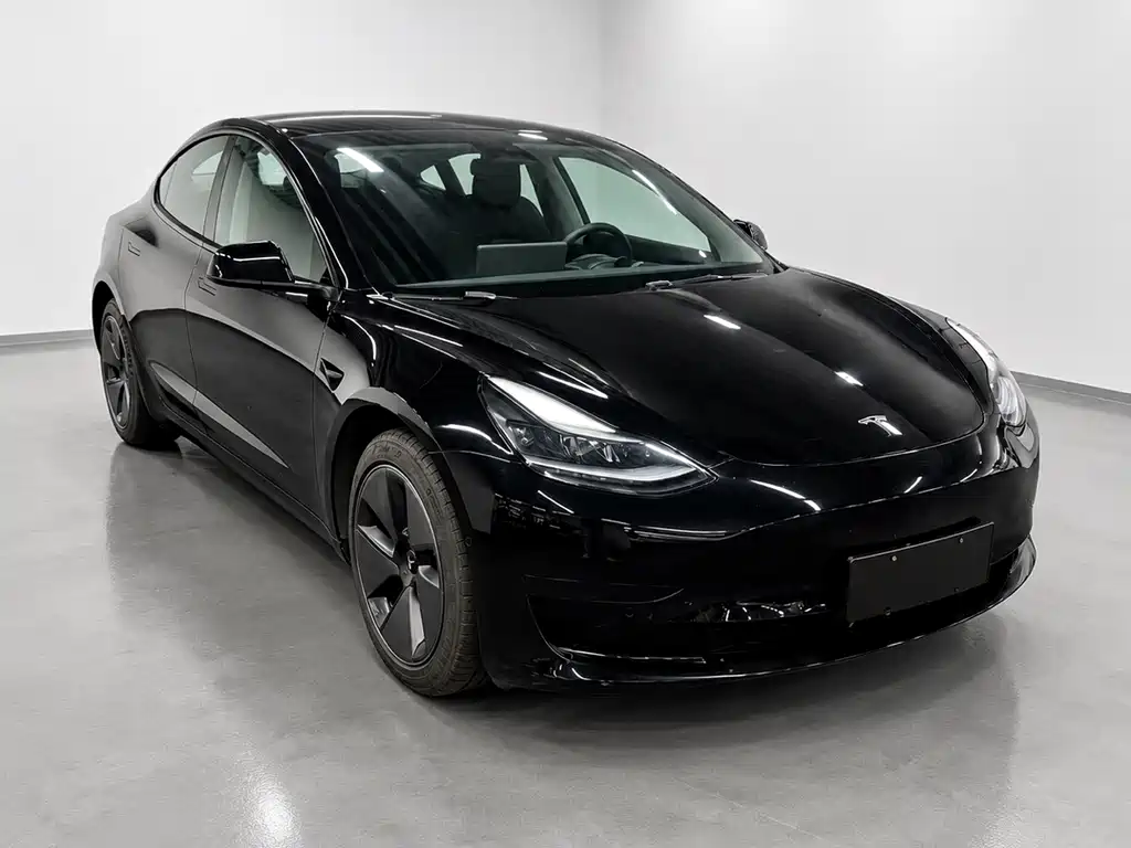 Tesla Model 3 — миниатюра 3