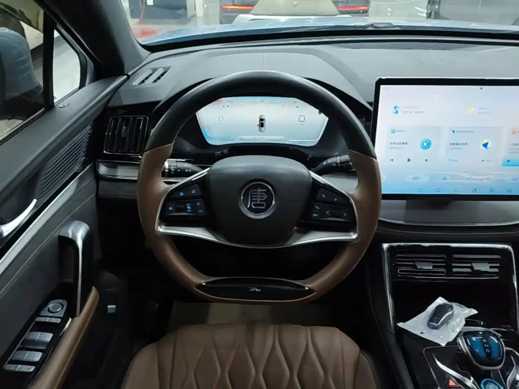 BYD Tang New Energy — миниатюра 11