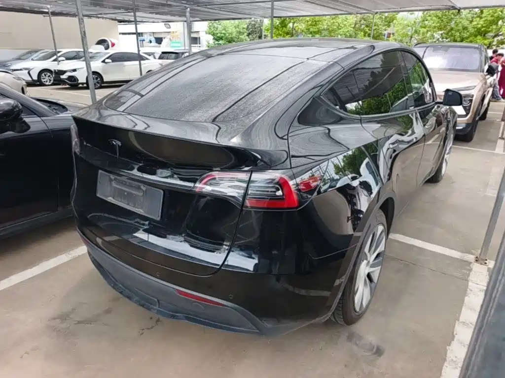 Tesla Model Y — миниатюра 7