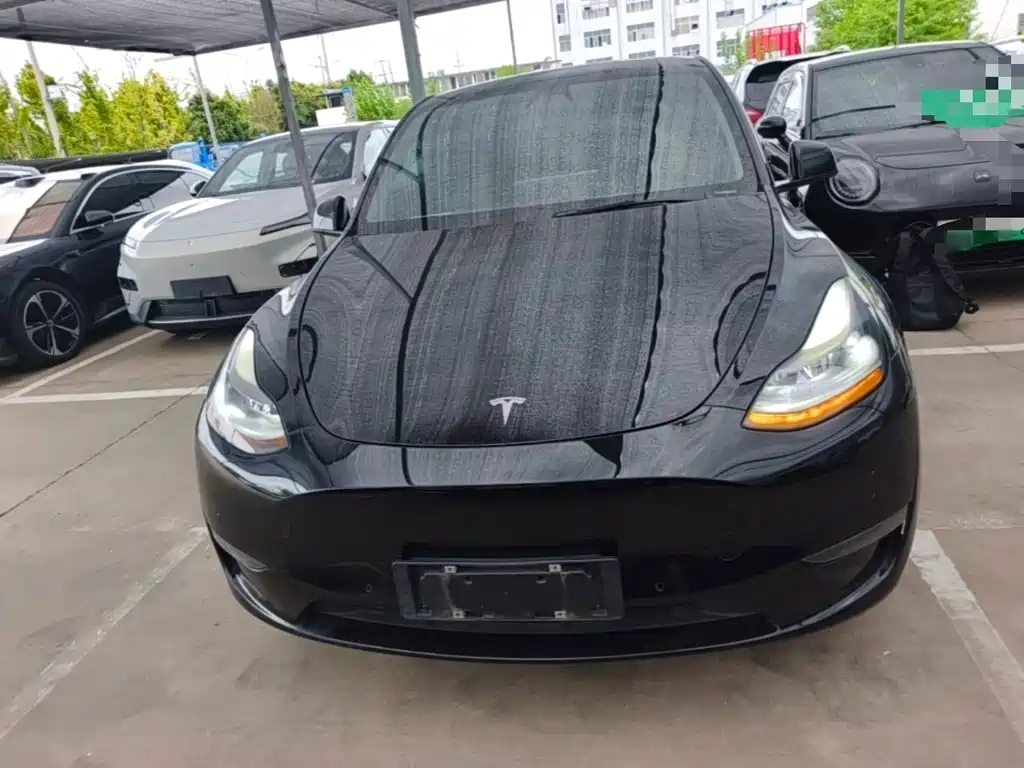 Tesla Model Y — миниатюра 3