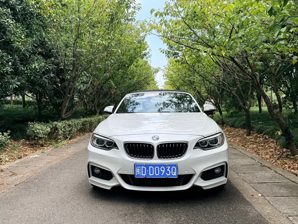 BMW 2 Series (Import) — миниатюра 2