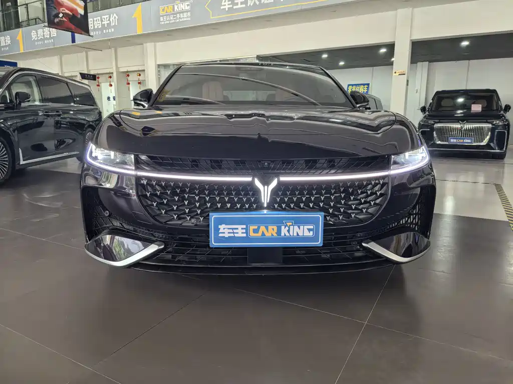 Voyah Passion 2024 PHEV Flagship