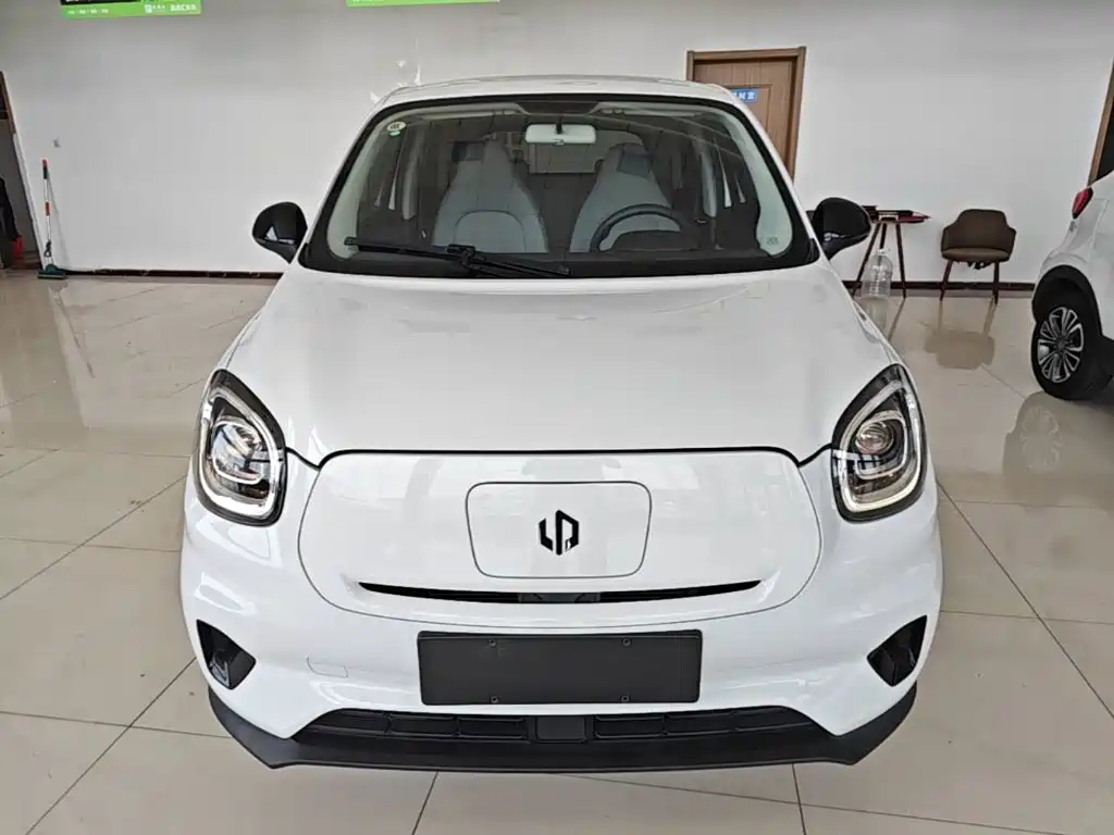 Leapmotor T03 2023 310