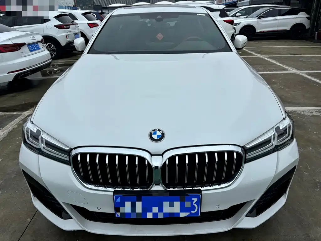 BMW 5 Series — миниатюра 2