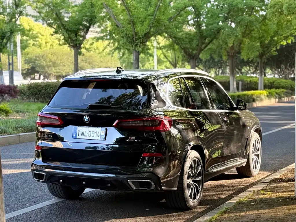 BMW X5 (Import) — миниатюра 16