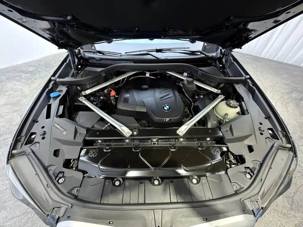 BMW X5 — миниатюра 9
