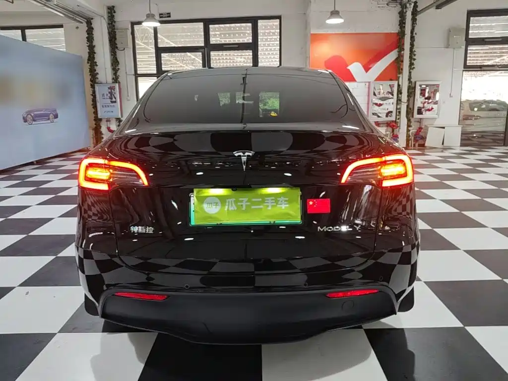Tesla Model Y — миниатюра 6