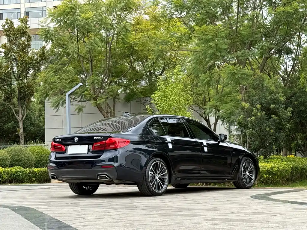 BMW 5 Series — миниатюра 7