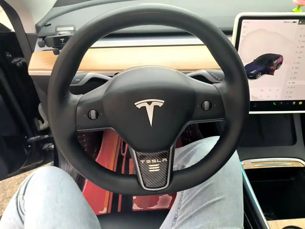 Tesla Model Y — миниатюра 11