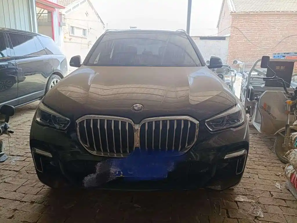 BMW X5 2022 xDrive 30Li Premium M Sport