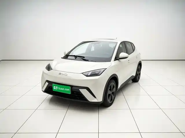 2025 BYD Seagull