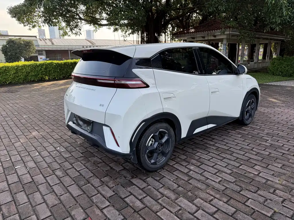 BYD Seagull