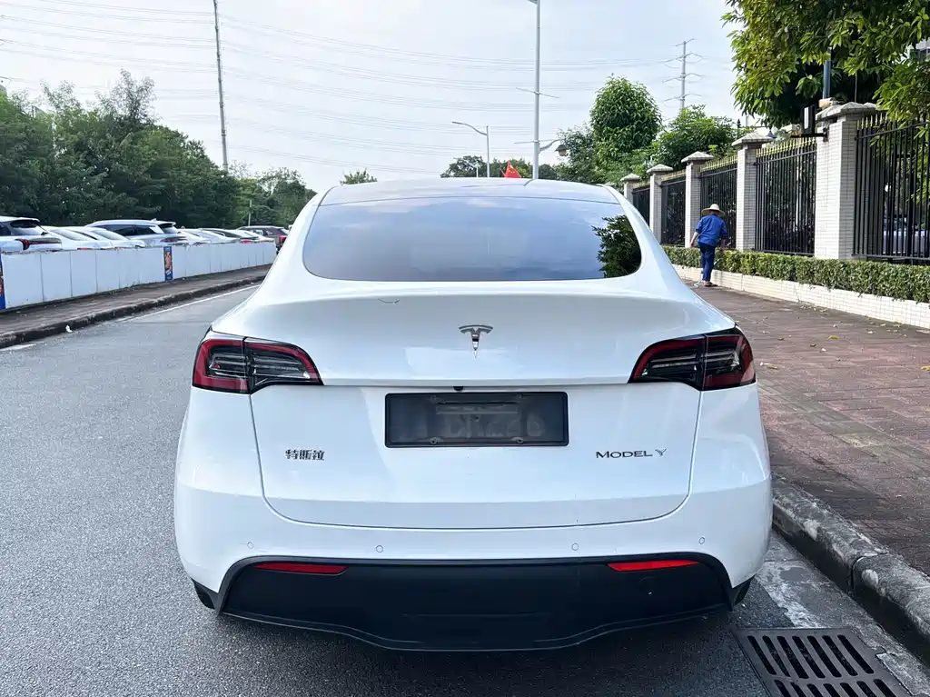 Tesla Model Y — миниатюра 5