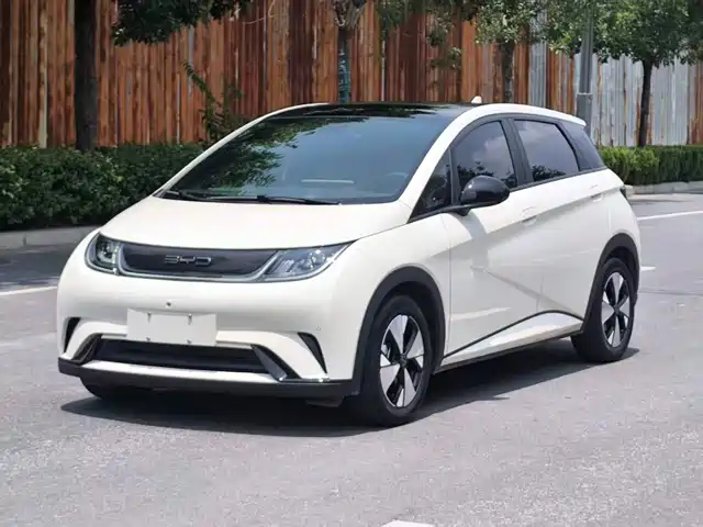 2023 BYD Dolphin