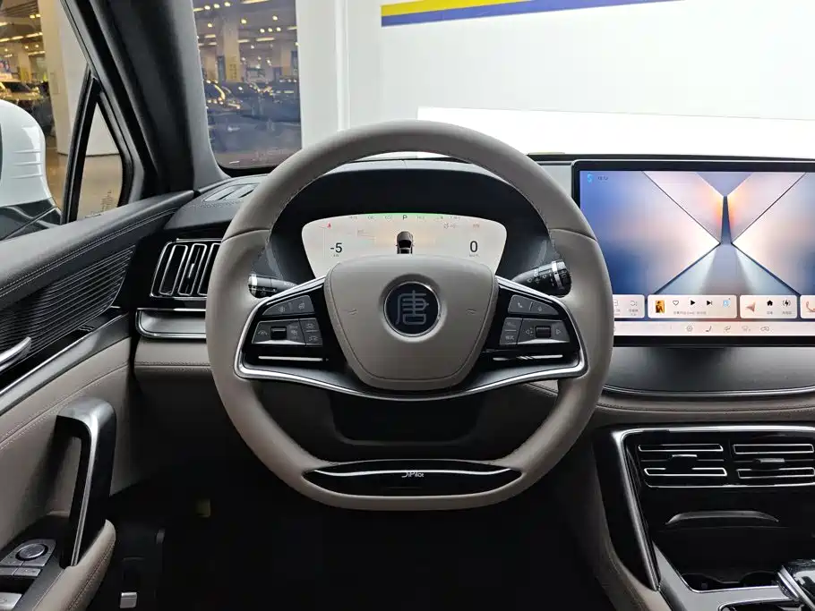 BYD Tang New Energy — миниатюра 15